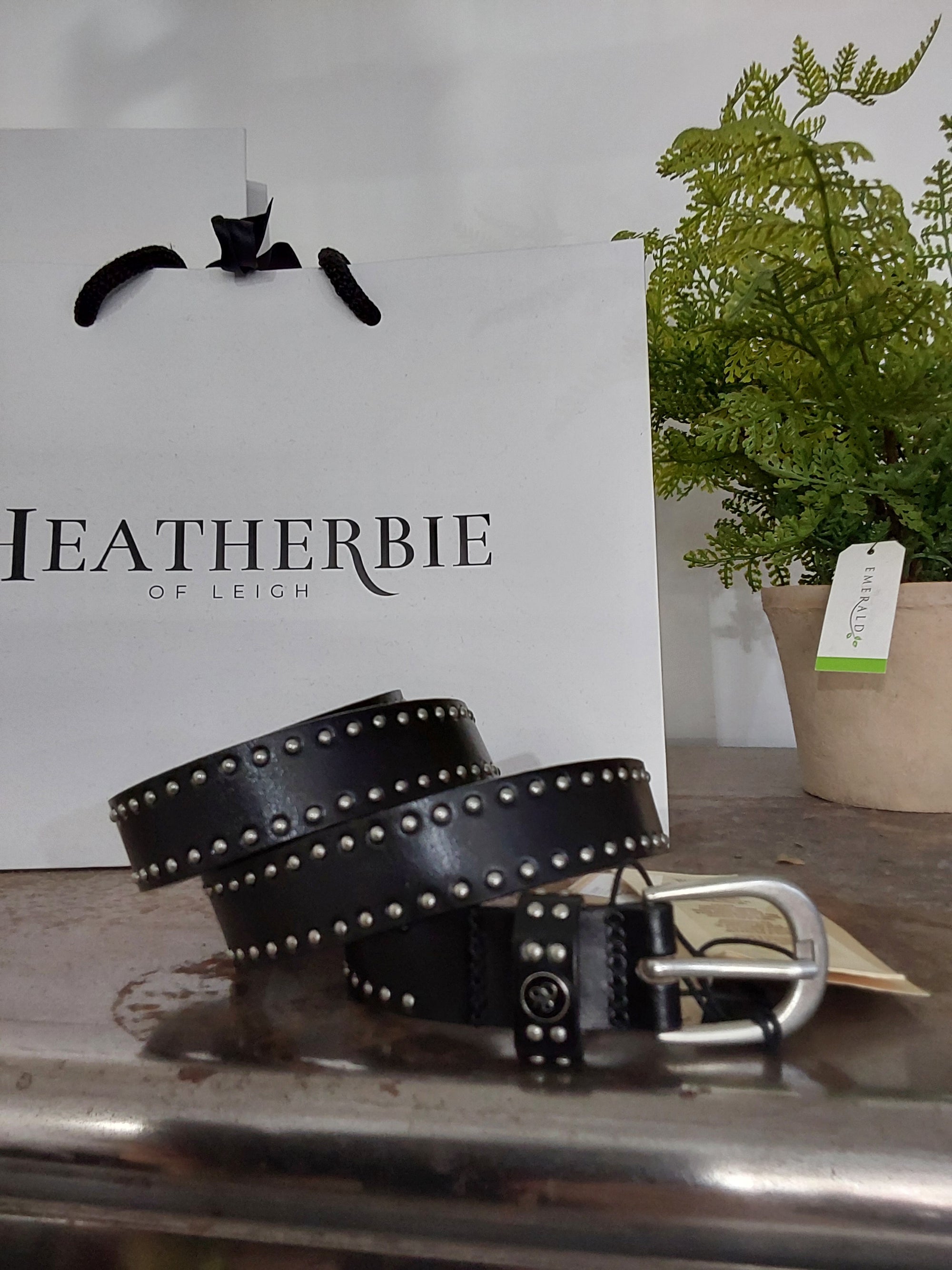 Studded Leather Belt | Black