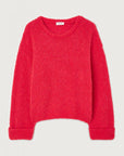 Zolly Jumper | Fluorescent Hortensia