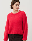 Zolly Jumper | Fluorescent Hortensia
