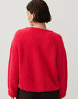Zolly Jumper | Fluorescent Hortensia