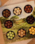 Lakrids By Bulow Chocolate Liquorice - Spring Selection Box 350g